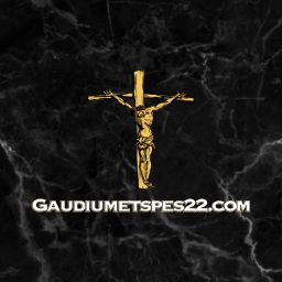 Artwork for Gaudiumetspes22 podcast