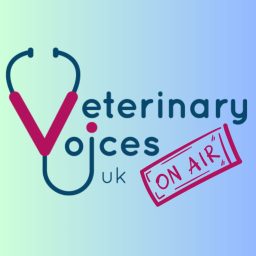 Artwork for Vet Voices On Air