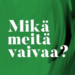 Artwork for Mikä meitä vaivaa?