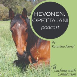 Artwork for Hevonen, Opettajani