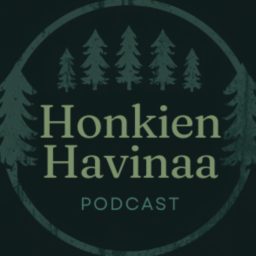 Artwork for Honkien Havinaa