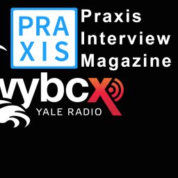 Artwork for Interviews by Brainard Carey