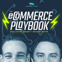 Artwork for Ecommerce Playbook: Numbers, Struggles &amp; Growth