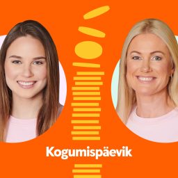 Artwork for Kogumispäevik