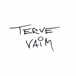 Artwork for Terve vaim