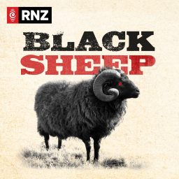 Artwork for Black Sheep