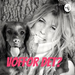 Artwork for VOFFor det?