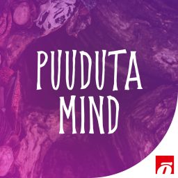 Artwork for Puuduta Mind