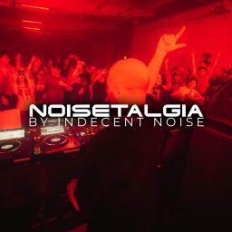 Artwork for NOISETALGIA with Indecent Noise