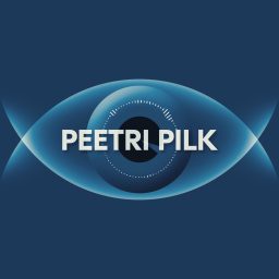 Artwork for Peetri pilk