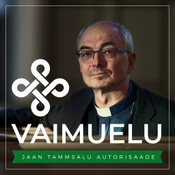 Artwork for Vaimuelu