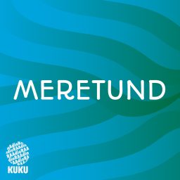 Artwork for Meretund