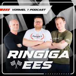 Artwork for Ringiga ees