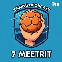 Artwork for 7 meetrit