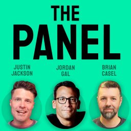 Artwork for The Panel