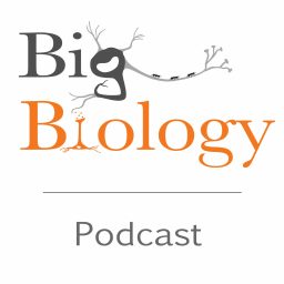 Artwork for Big Biology