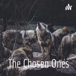 Artwork for The Chosen Ones