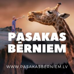 Artwork for Pasakas bērniem