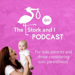 Artwork for The Stork and I