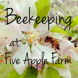 Artwork for Beekeeping at FiveApple