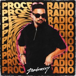 Artwork for Process Radio