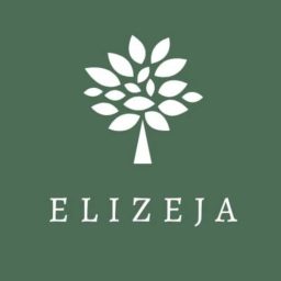 Artwork for ELIZEJA
