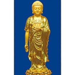 Artwork for A Buddhist Practitioner's Podcast