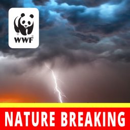 Artwork for Nature Breaking