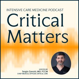 Artwork for Critical Matters