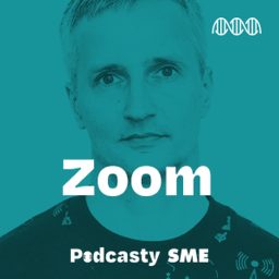 Artwork for Zoom
