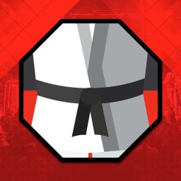 Artwork for MMA On Point - Podcast