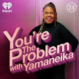 Artwork for You’re The Problem... with Yamaneika
