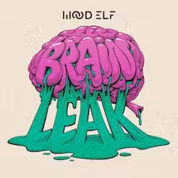 Artwork for Brain Leak