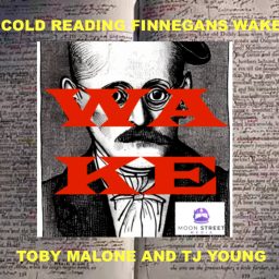 Artwork for WAKE: Cold Reading Finnegans Wake