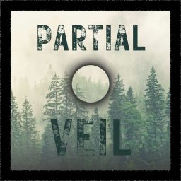 Artwork for Partial Veil