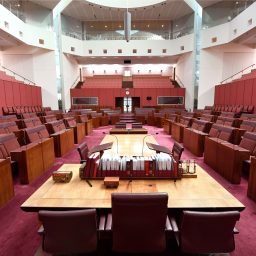 Artwork for Australian Parliament: Senate