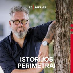 Artwork for Istorijos perimetrai