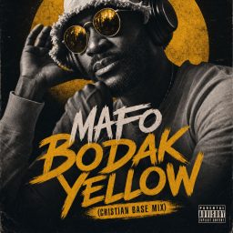 Artwork for Afrobeats Dancehall Afro-House Mixes