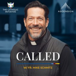 Artwork for Called (with Fr. Mike Schmitz)