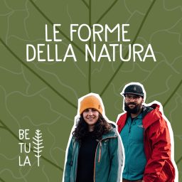 Artwork for Le forme della natura