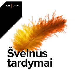 Artwork for Švelnūs tardymai