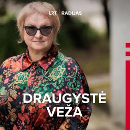 Artwork for Draugystė veža