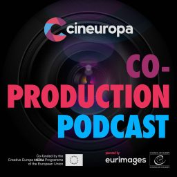 Artwork for The Co-production Podcast