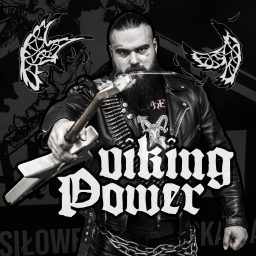 Artwork for Viking Power
