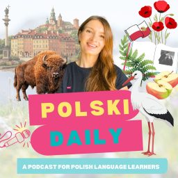 Artwork for Polski Daily