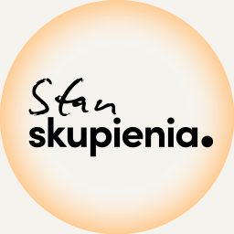 Artwork for Stan skupienia.