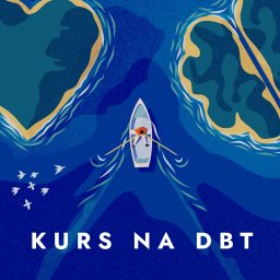 Artwork for Kurs na DBT