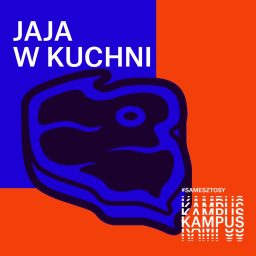 Artwork for Jaja w kuchni