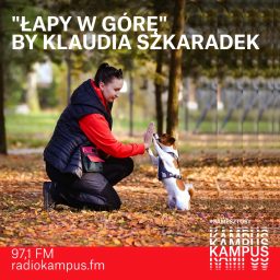 Artwork for Łapy w górę