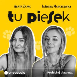 Artwork for Tu piesek